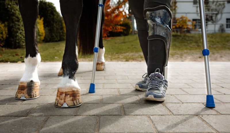 Inklusion Para-Dressur